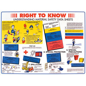 Brady USA 53200 18" x 24" Laminated Right To Know Poster: English