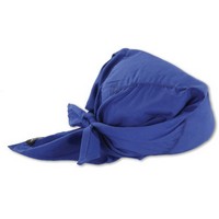 Ergodyne 12587 Ergodyne Chill-Its Blue 6710CT Evaporative Cooling Triangle Hat With Cooling Towel