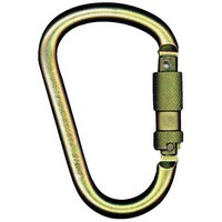 MSA (Mine Safety Appliances Co) 10089207 MSA Steel Carabiner With 1\" Gate