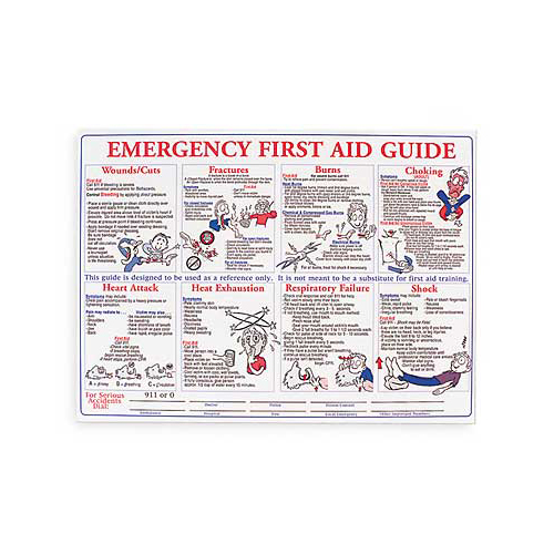 Brady USA PS128E 18\" x 24\" Laminated Emergency First Aid Poster: English